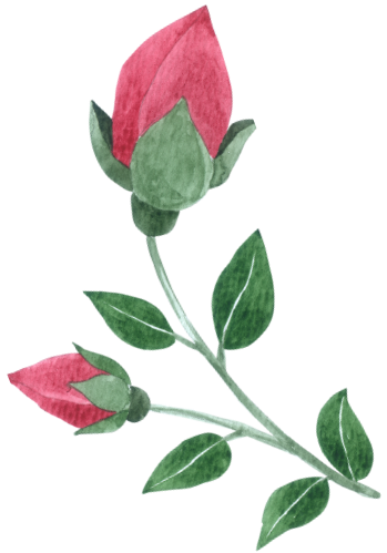 Wedding Photographer in Jaipur