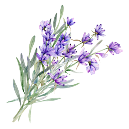 wedding photographer in Jaipur